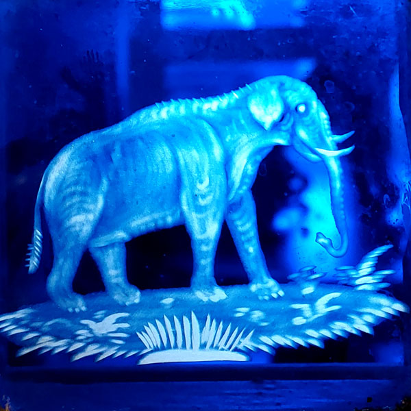 gravure sur verre éléphant